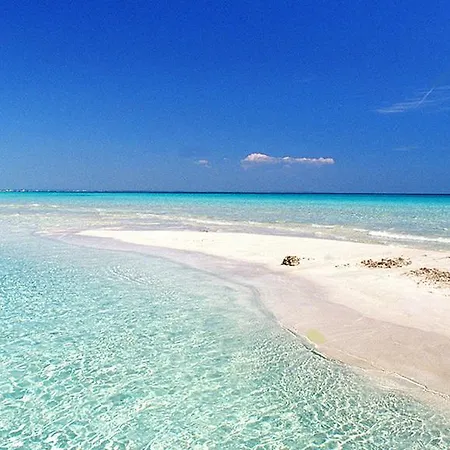Lägenhetshotell Ungaretti Porto Cesareo